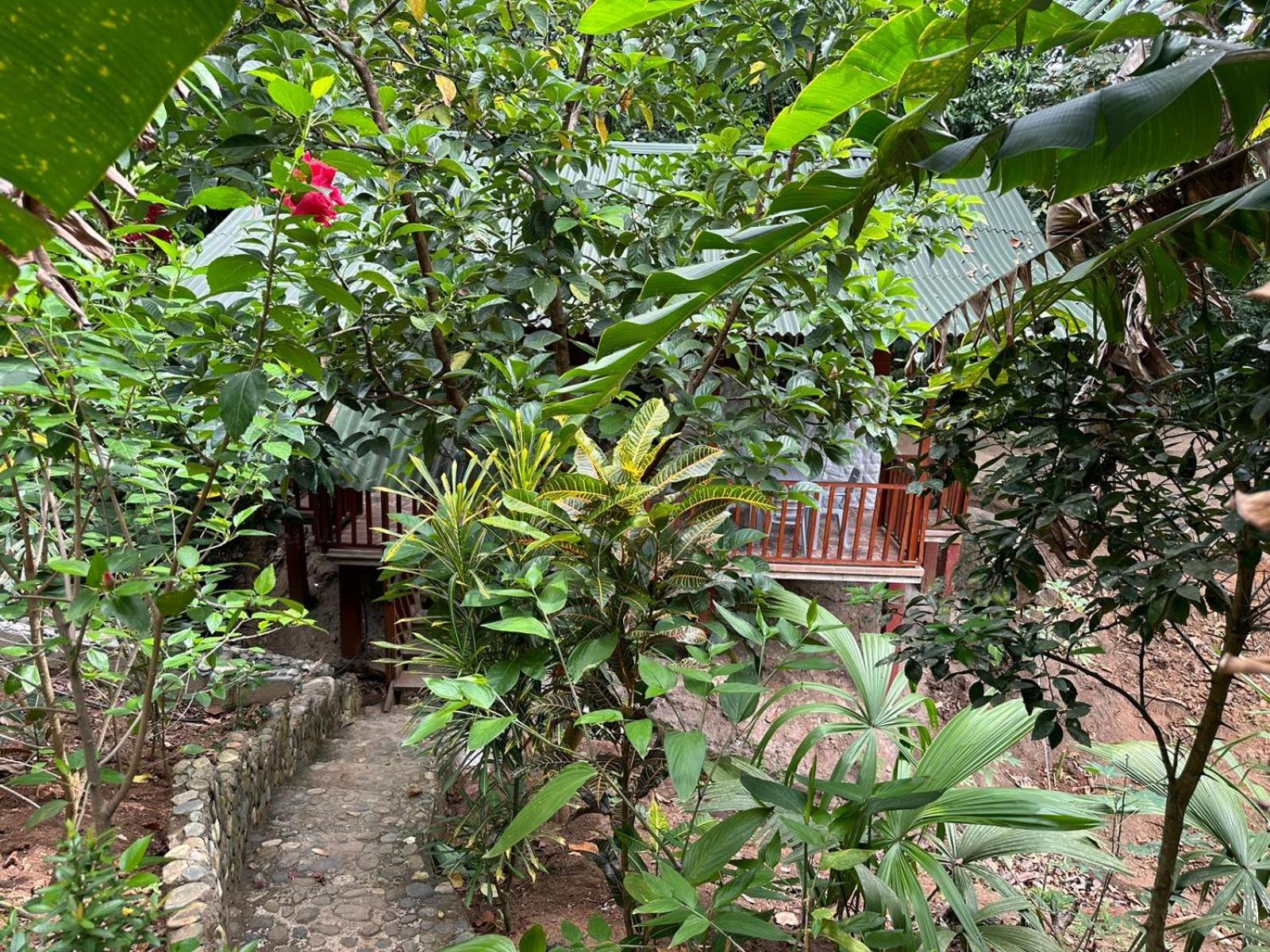 El Toche Lodge