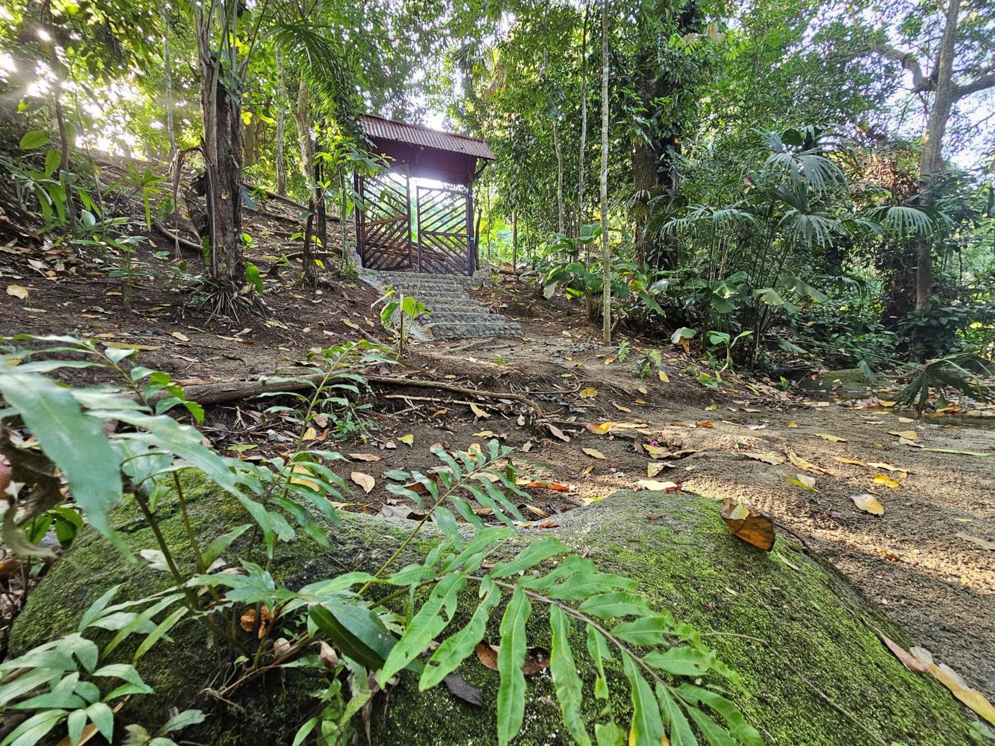 El Toche Santa Marta (Magdalena)
